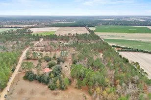 278 Megill Dr, Pelion, SC 29123 - Photo 39