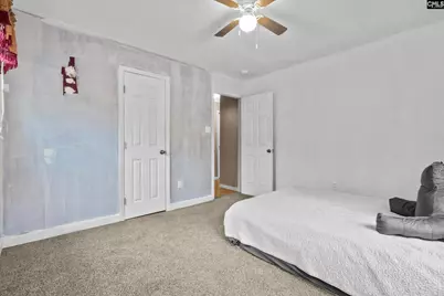 278 Megill Drive, Pelion, SC 29123 - Photo 15