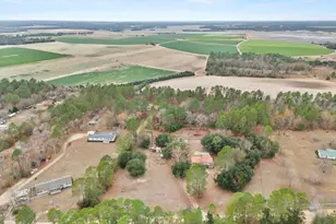 278 Megill Dr, Pelion, SC 29123 - Photo 41