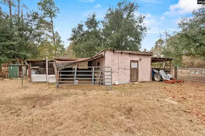 278 Megill Drive, Pelion, SC 29123 - Photo 35