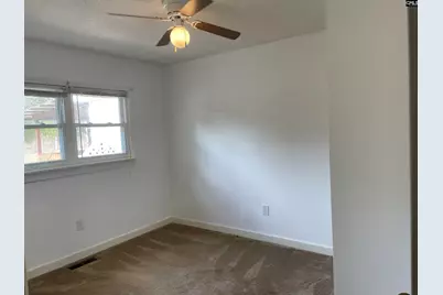 278 Megill Drive, Pelion, SC 29123 - Photo 13