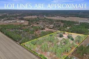 278 Megill Dr, Pelion, SC 29123 - Photo 39