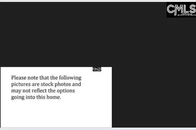 860 Lodgepole Lane, West Columbia, SC 29170 - Photo 7