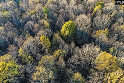 0 Rocky Creek Road, Newberry, SC 29108 - Photo 5