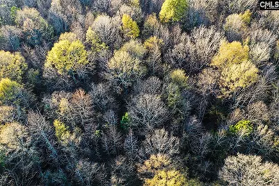 0 Rocky Creek Road, Newberry, SC 29108 - Photo 7