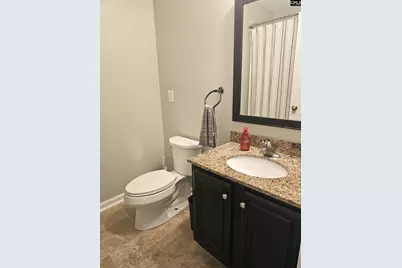 410 Riglaw Circle, Lexington, SC 29073 - Photo 27