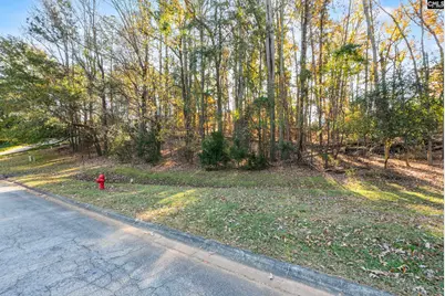 126 Lake Summit Drive, Chapin, SC 29036 - Photo 13