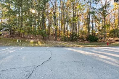 126 Lake Summit Drive, Chapin, SC 29036 - Photo 11