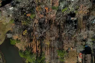 2 Carl Weed Ct, Columbia, SC 29212 - Photo 95