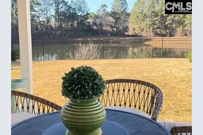 417 Buckthorne Drive, Lexington, SC 29072 - Photo 31