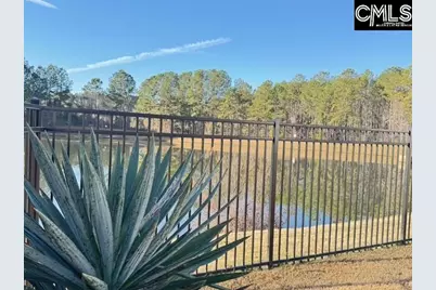 417 Buckthorne Drive, Lexington, SC 29072 - Photo 33