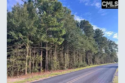 0 Tindal Road #1, Pelion, SC 29123 - Photo 7