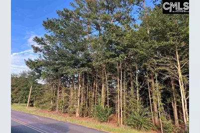 0 Tindal Road #3, Pelion, SC 29123 - Photo 5