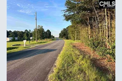 0 Tindal Road #2, Pelion, SC 29123 - Photo 3