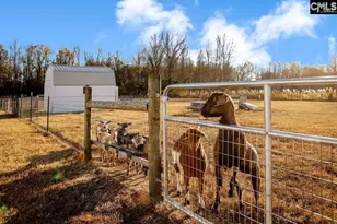 5474 Sc Hwy 23, Johnston, SC 29832 - Photo 53