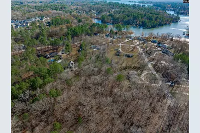 540 Lakeshore Drive, Chapin, SC 29036 - Photo 53