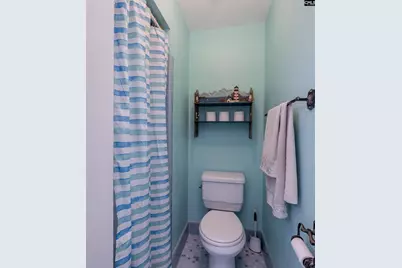 540 Lakeshore Drive, Chapin, SC 29036 - Photo 31