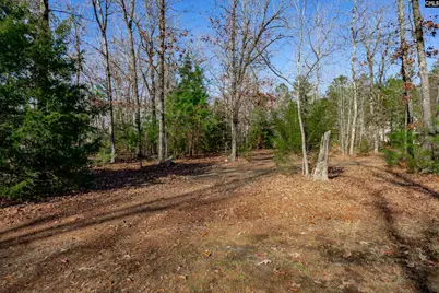540 Lakeshore Drive, Chapin, SC 29036 - Photo 47