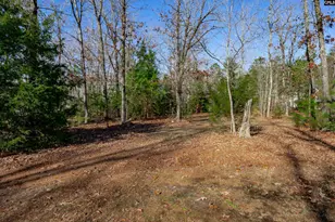 540 Lake Shore Dr, Chapin, SC 29036 - Photo 47