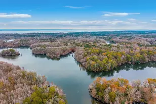 12785 Old Number Six Hwy, Eutawville, SC 29048 - Photo 49