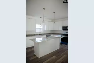 357 Wilson Street, Batesburg, SC 29006 - Photo 9