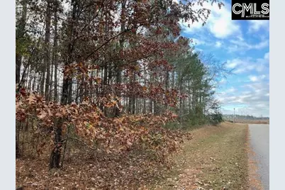 Lot 104 Pineland Road #Lot 104, Chappells, SC 29037 - Photo 17