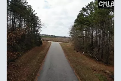Lot 104 Pineland Road #Lot 104, Chappells, SC 29037 - Photo 7