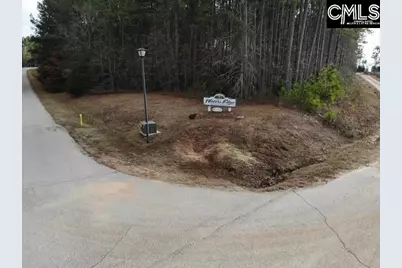 Lot 104 Pineland Road #Lot 104, Chappells, SC 29037 - Photo 9