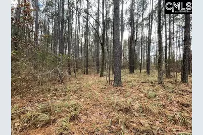 Lot 104 Pineland Road #Lot 104, Chappells, SC 29037 - Photo 13