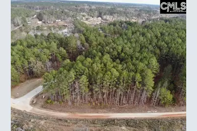 Lot 104 Pineland Road #Lot 104, Chappells, SC 29037 - Photo 11