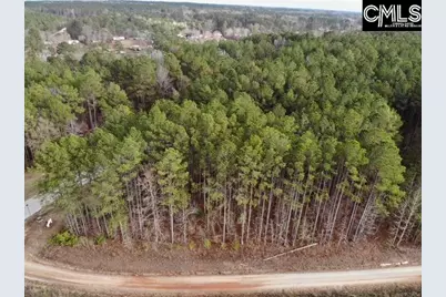 Lot 104 Pineland Road #Lot 104, Chappells, SC 29037 - Photo 23