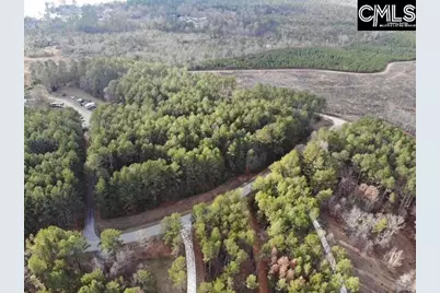 Lot 104 Pineland Road #Lot 104, Chappells, SC 29037 - Photo 21