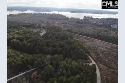 Lot 104 Pineland Road #Lot 104, Chappells, SC 29037 - Photo 19