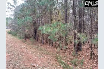 Lot 104 Pineland Road #Lot 104, Chappells, SC 29037 - Photo 15