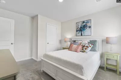 313 Star Capital Way, Pelion, SC 29123 - Photo 21