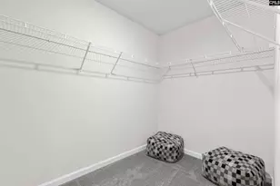 313 Star Capital Way, Pelion, SC 29123 - Photo 19