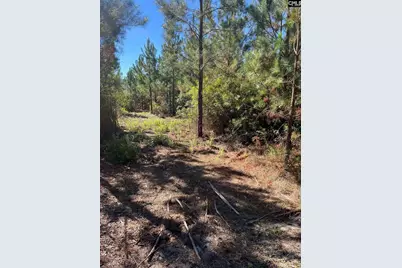 Bff 1D Jc Barefoot Road Bff 1D #BFF 1B, Patrick, SC 29584 - Photo 13