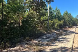 Bff 1D Jc Barefoot Road Bff 1D, Patrick, SC 29584 - Photo 1