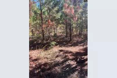 Bff 1D Jc Barefoot Road Bff 1D #BFF 1B, Patrick, SC 29584 - Photo 19