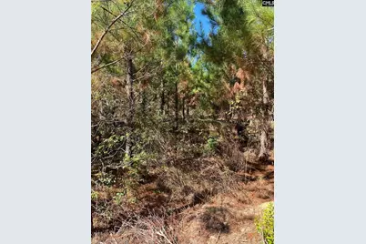 Bff 1D Jc Barefoot Road Bff 1D #BFF 1B, Patrick, SC 29584 - Photo 9