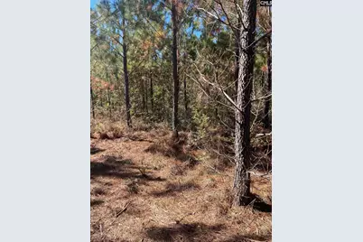 Bff 1D Jc Barefoot Road Bff 1D #BFF 1B, Patrick, SC 29584 - Photo 15