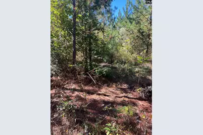 Bff 1D Jc Barefoot Road Bff 1D #BFF 1B, Patrick, SC 29584 - Photo 21