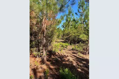 Bff 1D Jc Barefoot Road Bff 1D #BFF 1B, Patrick, SC 29584 - Photo 11