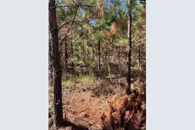 Bff 1D Jc Barefoot Road Bff 1D #BFF 1B, Patrick, SC 29584 - Photo 7