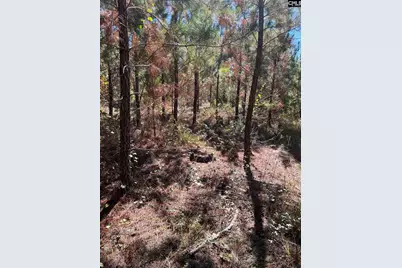 Bff 1D Jc Barefoot Road Bff 1D #BFF 1B, Patrick, SC 29584 - Photo 17