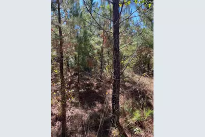 Bff 1D Jc Barefoot Road Bff 1D #BFF 1B, Patrick, SC 29584 - Photo 23