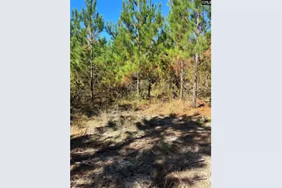 Bff 1D Jc Barefoot Road Bff 1D #BFF 1B, Patrick, SC 29584 - Photo 3