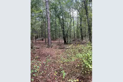 Bhl 7 Boise Cascade Road Bhl 7, Bethune, SC 29009 - Photo 17