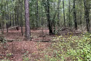 Bhl 7 Boise Cascade Road Bhl 7, Bethune, SC 29009 - Photo 17