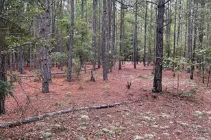 Bhl 7 Boise Cascade Road Bhl 7, Bethune, SC 29009 - Photo 21